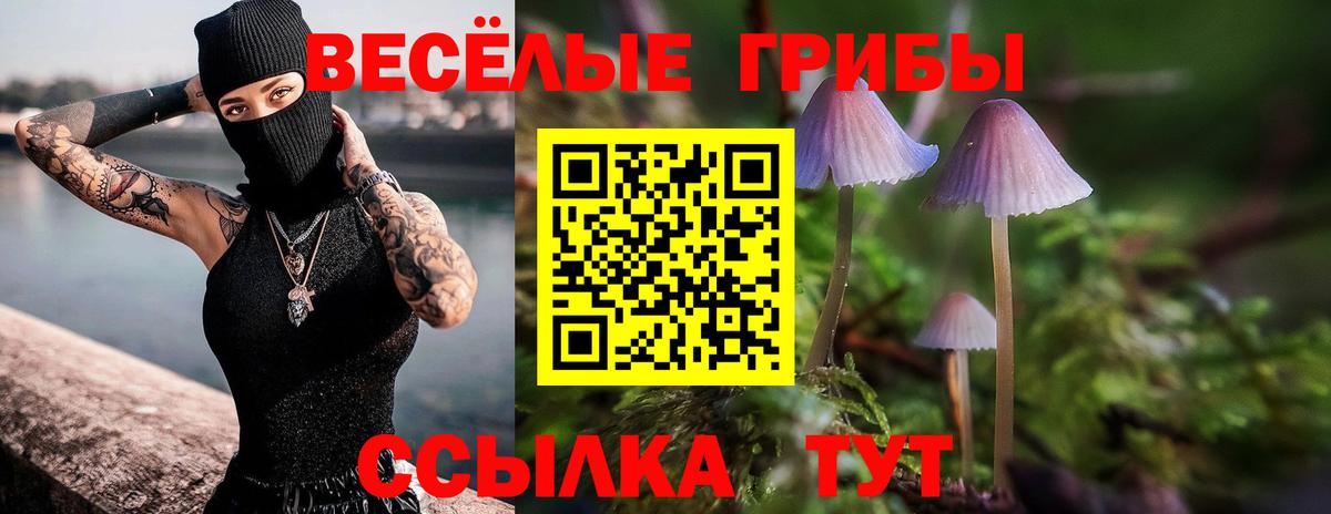 Красноперекопск  Галлюциногенные грибы MAGIC MUSHROOMS  Вход с VPN 